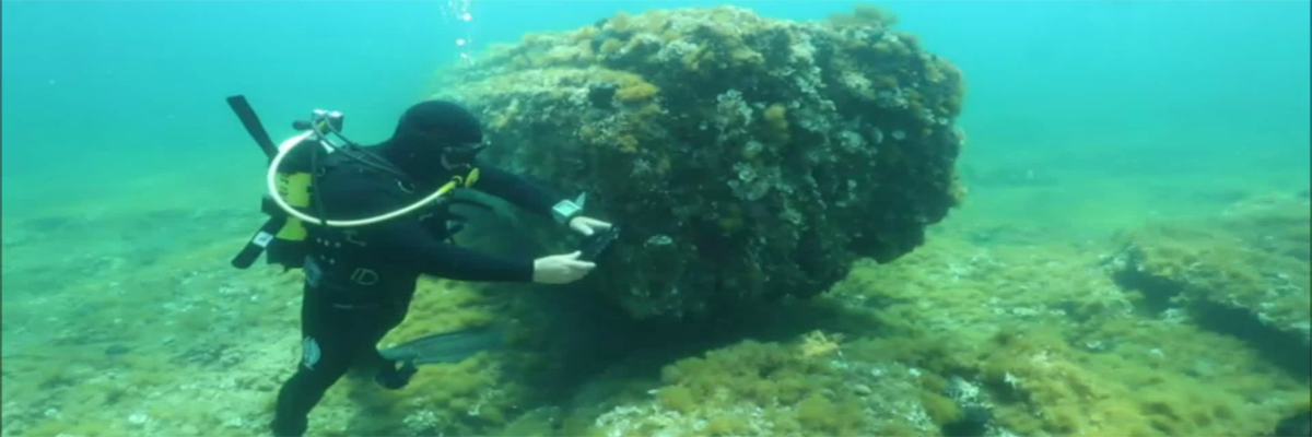 Diver, Underwater Tablet and Roman Columns