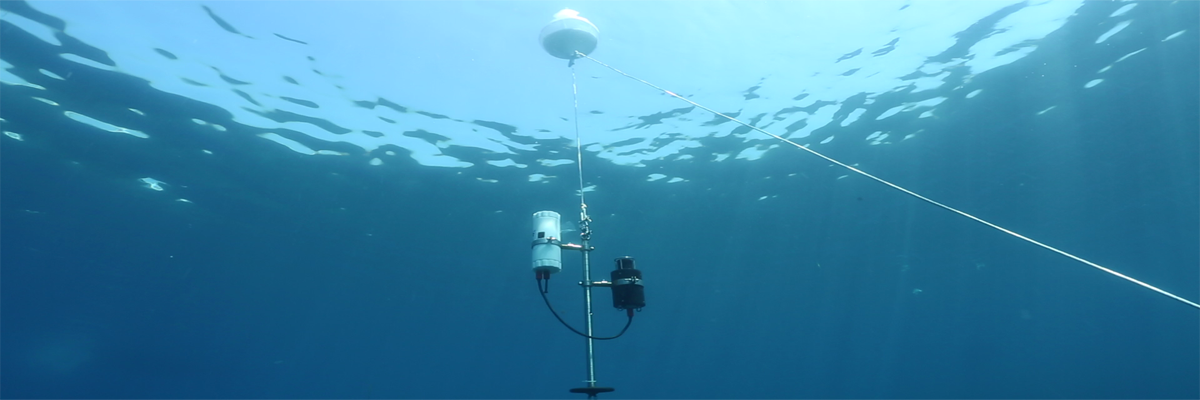 WSense Underwater Node 